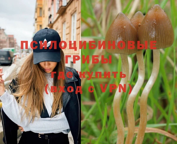 мяу мяу кристалл Алзамай