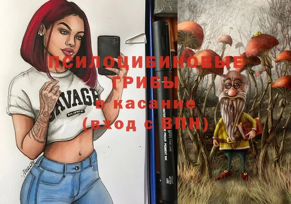прущие грибы Алексин