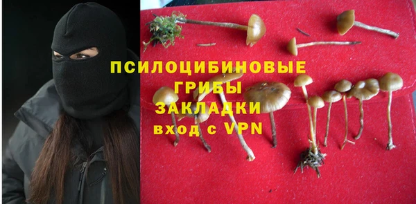 прущие грибы Алексин