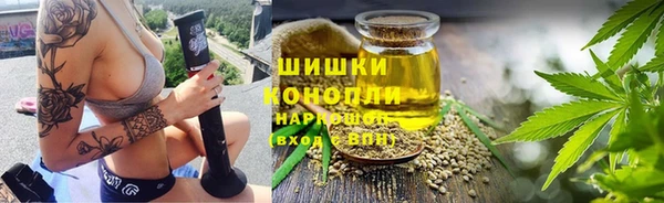 прущие грибы Алексин