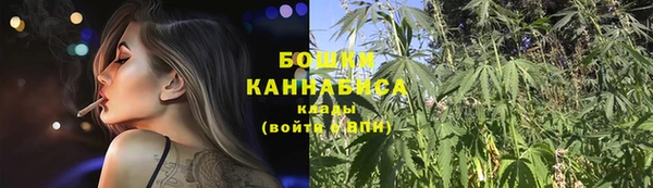 прущий лед Абаза