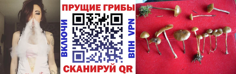 Галлюциногенные грибы мухоморы наркота Зарайск